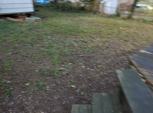 Leaf Removal by German Melara for Jason A. in Rockville, MD