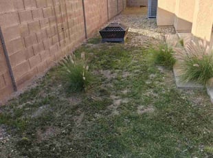 Bush Trimming by Marvin Gray for Mardi D. in Peoria, AZ