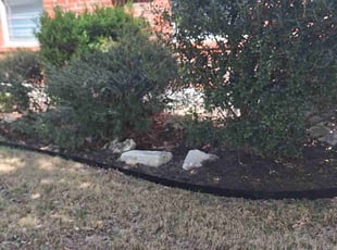 Leaf Removal by Joshua Cabiya for Dawna G. in Pflugerville, TX