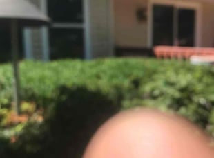 Valerie L.'s Bush Trimming service result