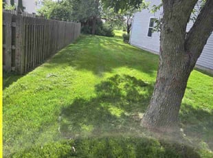 Barbara A.'s Grass Cutting service result