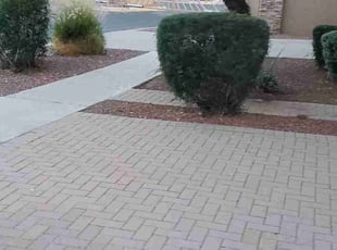 Bush Trimming by Chris Hawk for William V. in Phoenix, AZ