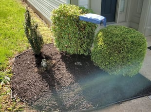 Landscaping by Rose Valle for Zachary C. in Chantilly, VA