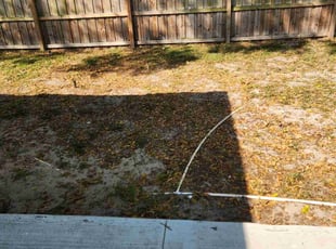 Leaf Removal by Terrael Mason for penny n. in Safety Harbor, FL