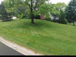 Peter R.'s Lawn Service service result