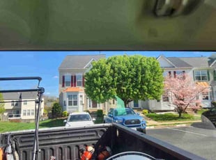 Cleanups by Mark Burke for Bonnie A. in Bristow, VA