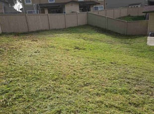 Katherine N.'s Lawn Service service result