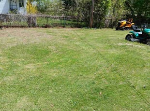 Leaf Removal by Kenneth Jackson for Renee B. in Bridgeport, CT