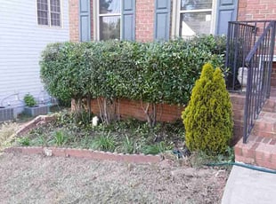 Bush Trimming by Jerry Gross Jr for Max S. in Lilburn, GA