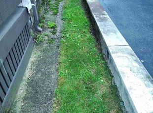 Dina M.'s Cleanups service result