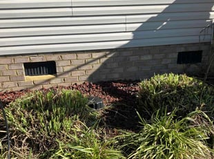 Bush Trimming by Joel Walton for Mari D. in Chesapeake, VA