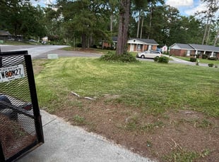 Andre R.'s Leaf Removal service result