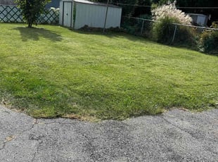 Tricia S.'s Lawn Service service result