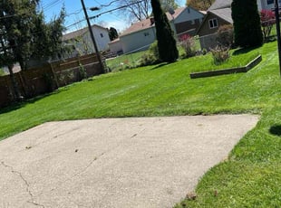 Dallin M.'s Lawn Mowing Service service result