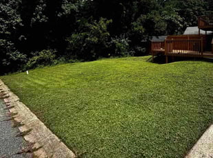 James H.'s Lawn Mowing Service service result