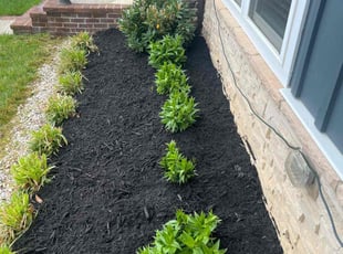 Landscaping by Gilbert Osorio for Kwame A. in Dumfries, VA