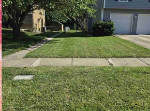 Blaise W.'s Lawn Service service result