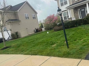 Stan D.'s Yard Cutting service result