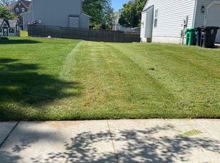 Estella A.'s Yard Cutting service result