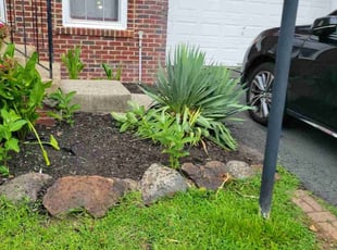 Rita R.'s Flower Bed Weeding service result