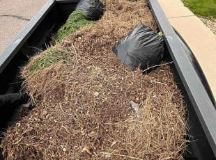 Leaf Removal by Timothy Fernandez for Megan F. in Castle Pines, CO