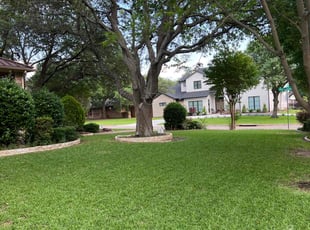 Richard S.'s Lawn Mowing service result