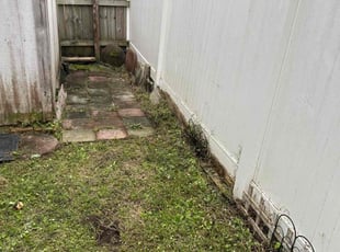 Bush Trimming by Hemayet Uddin Ahmed for Ana D. in Virginia Beach, VA