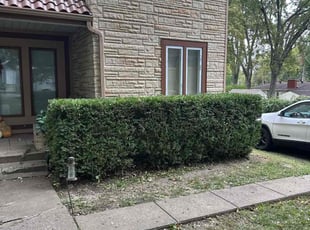 Bush Trimming by Jacob Russi for Pam R. in Independence, MO