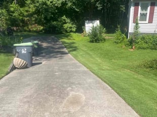 Doug S.'s Lawn Service service result