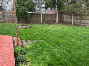 Chuck C.'s Lawn Mowing service result