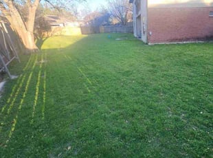 Jeff T.'s Lawn Mowing service result