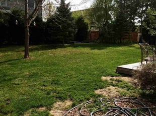 Cleanups by Ryan Reitzel for 2nd Chance Project -. in Vadnais Heights, MN