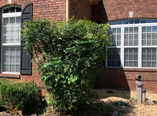 Bush Trimming by Matt Dameron for Christine H. in Douglasville, GA
