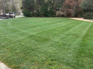 Julian C.'s Lawn Care service result