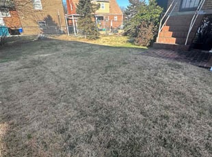 Leaf Removal by Edgar Elmore for Hayward E. in Hyattsville, MD