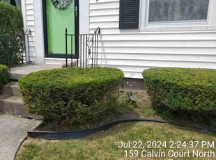 Bush Trimming by Ronald Burton for Robert P. in Tonawanda, NY