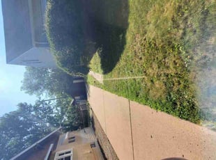 Bush Trimming by Juan Rubio for Briley O. in Minneapolis, MN