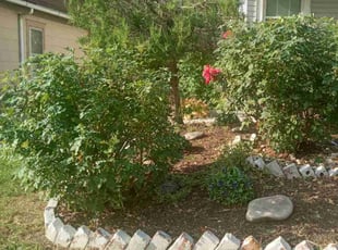 Cleanups by Nicole Gorman for Ella A. in Kansas City, KS