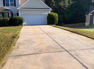 Bush Trimming by Kamilah Brown for Thomas D. in Loganville, GA