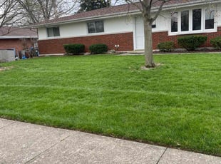 Rose S.'s Grass Cutting service result