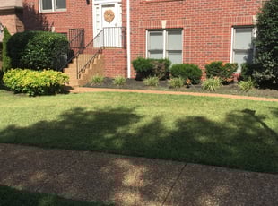 Bush Trimming by Melvin Pryor for Darryl R. in Nashville, TN