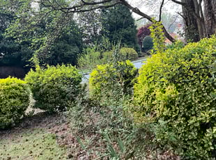 Bush Trimming by Jonathan Clark for Pablo F. in Snellville, GA