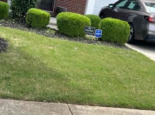 Bush Trimming by Shelita Turner for Lorri W. in Charlotte, NC