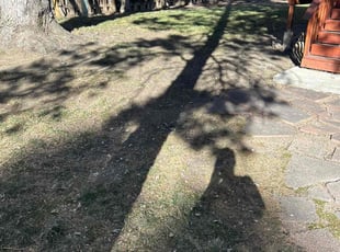 Leaf Removal by Dale Walker for Jeff V. in Colorado Springs, CO