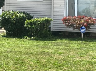 Bush Trimming by Katie Cliff for Antwood W. in Toledo, OH