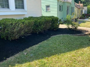 Darius D.'s Mulching service result