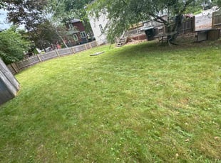 Kim P.'s Lawn Mowing Service service result