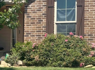 Weeding by Leray Thornton for Rebecca R. in Yukon, OK