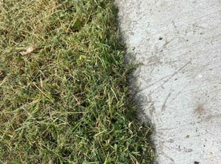 Marilynn H.'s Lawn Service service result