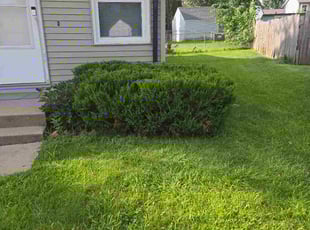John C.'s Bush Trimming service result